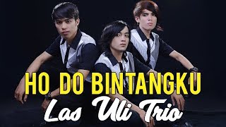 Lagu Batak Paling Mantap - HO DO BINTANG KU - Las Uli Trio #lagubatak
