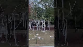 Toilet Paper House toiletpaperchallenge  pranks