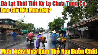 Đà Lạt Thời Tiết Lạ Chưa Từng Có Mưa Ngày Mưa Đêm Đầu Hè