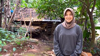 Download Lagu BERTEMU MUTIARA TERSEMBUNYI DI LERENG GUNUNG TUMBUH DEWASA TANPA SOSOK AYAH YG HAMPIR PUTUS SEKOLAH MP3 Download Lagu BERTEMU MUTIARA TERSEMBUNYI DI LERENG GUNUNG TUMBUH DEWASA TANPA SOSOK AYAH YG HAMPIR PUTUS SEKOLAH MP3