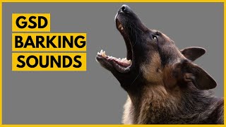 German Shepherd Barking Sounds Compilation (See How Your GSD REACTS)