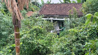 Clean up an overgrown abandoned house - Eye-catching transformation of garden lawn by Cleanup Overgrown 548,742 views 3 months ago 36 minutes