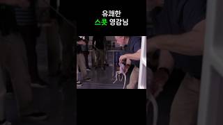 유쾌한 리들리 스콧