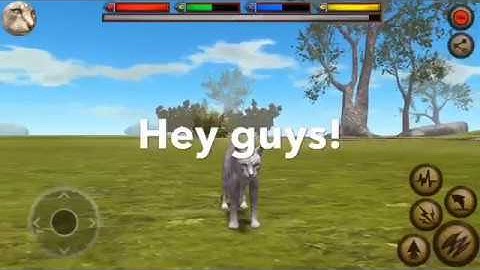 How to level up fast on Ultimate Cat Simulator! 🐈 🐱