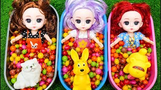 Long Slide Game with Cute Dolls, Color Candy & Magic Squishy Ball Surprise