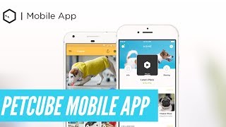 👉 Petcube Mobile App Review | Interactive Pet Camera Smartphone App Tutorial 👈 screenshot 1