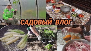 Влог/Зачем сажать томаты в ведра без дна/Обед в саду/Делаю каши и тушенку в автоклаве@SubTatiana