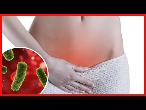 Les probiotiques influencent-ils la flore vaginale ?
