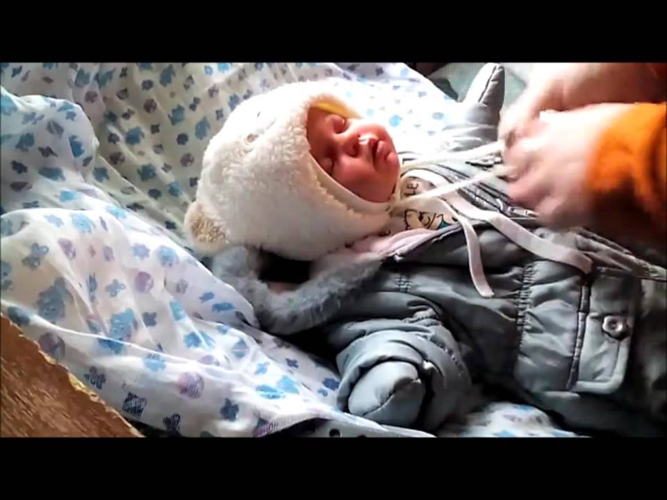 Утро с реборном. Видео про реборнов. Видео про реборна ляма. Видео про реборна ляма. Реборн pip.