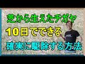 [ガーデニング] チガヤの根絶 「キャリア29年のプロガーデナーが検証芝生から生えてしまったチガヤを駆除する方法 」