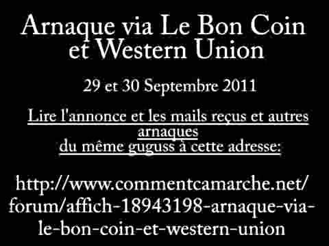 Arnaque via Le Bon Coin et Western Union - YouTube