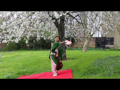 sakura sakura Nihon