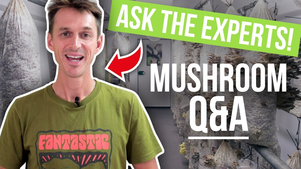 Ask Us YOUR Mushroom Growing Questions GroCycle YouTube