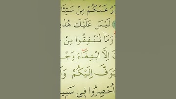 سورة البقرة الأية 272 القارئ مشاري راشد العفاسي