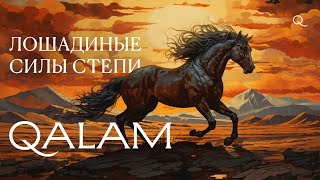 Как выглядела дикая ЛОШАДЬ? Казахские лошади, изменившие историю.