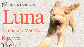 Luna Training Video