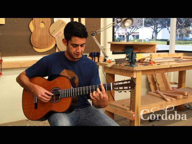 Классическая гитара CORDOBA C10 CD