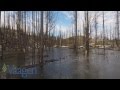 Vaagen brothers lumber  fire stricken pond flyover