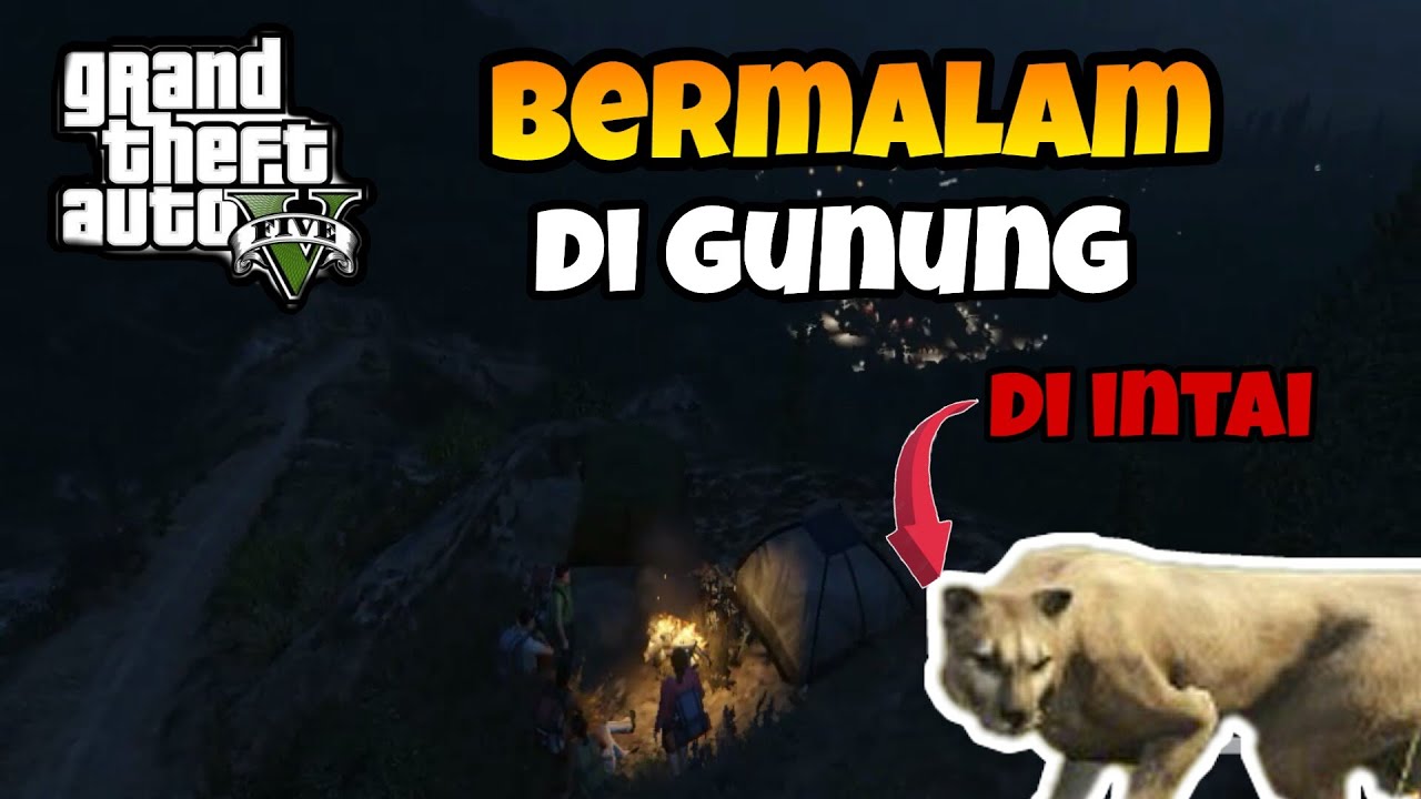 ANAK GUNUNG  PART 2 BERMALAM DI  GUNUNG  ADA HEWAN  BUAS  