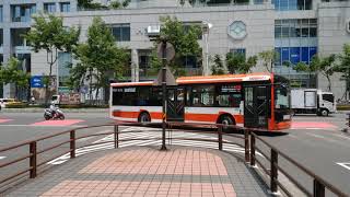 20200715首都客運KKB-1626，99路低底盤公車
