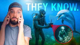 How Dolphins Exposed Aliens in Our Oceans