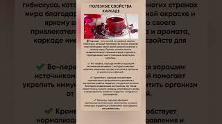 Полезные свойства каркаде