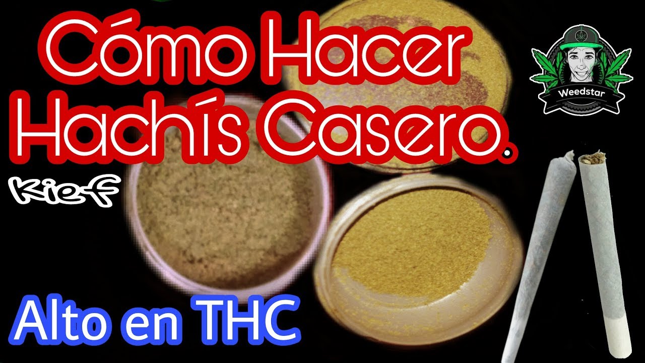 Cómo hacer hachís casero (+18) Kief/Polen/Resina YouTube Cómo hacer hachís casero (+18) Kief/Polen/Resina YouTube