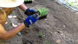 101_0138 Part 2