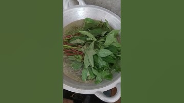 Cara rebus daun singkong lembut dan hijau