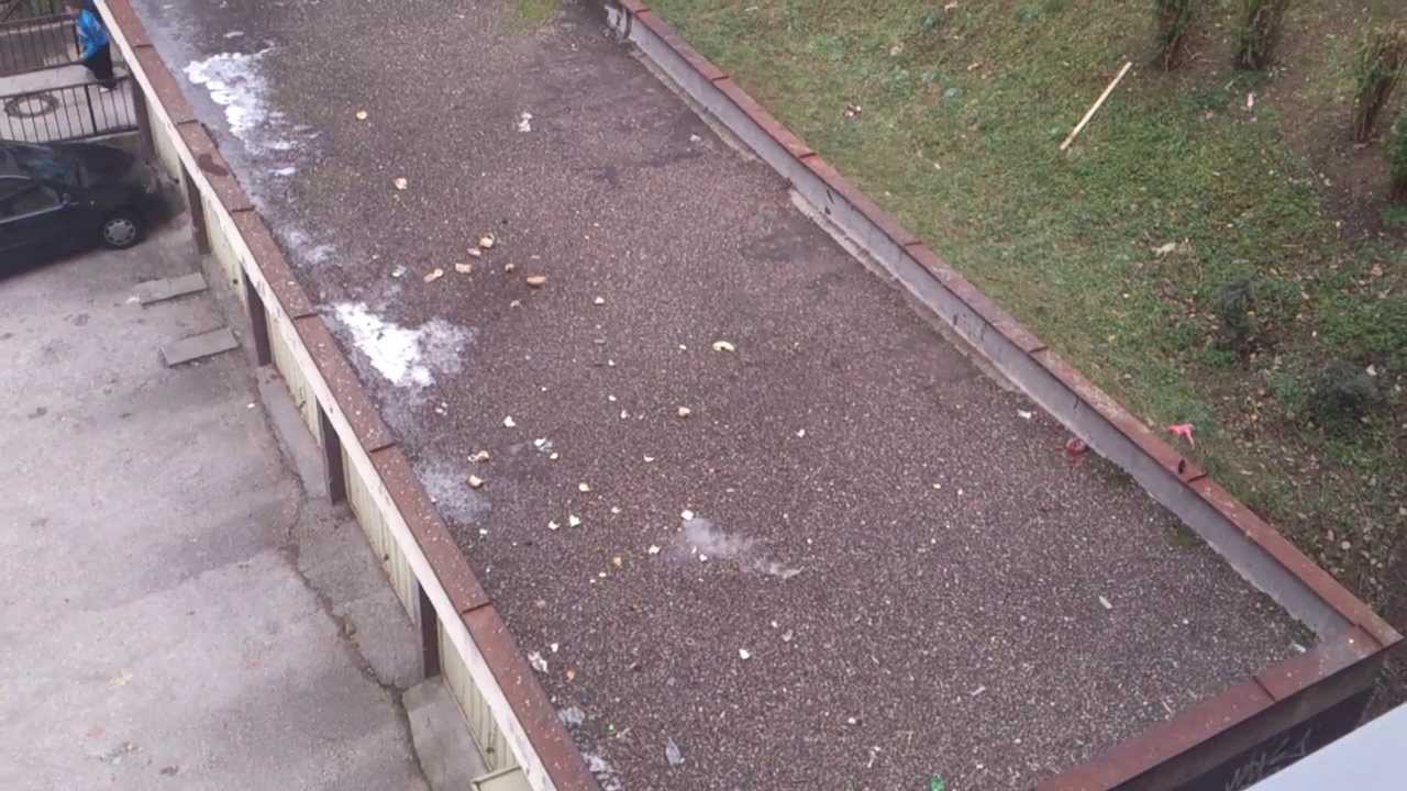 Pirakta On The Roof (2013-2014)