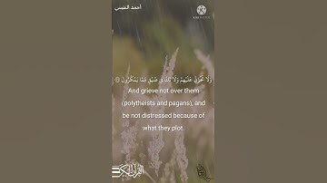 "وَٱصۡبِرۡ وَمَا صَبۡرُكَ إِلَّا بِٱللَّهِۚ " | تلاوة خاشعة سورة النحل | القاريء أحمد النفيس