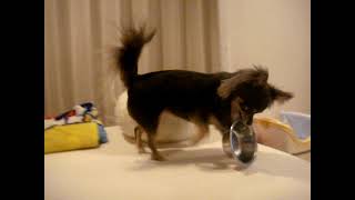 テト20091006 3