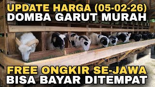 UPDATE ON CHEAP GARUT SHEEP PRICES, FREE SHIPPING THROUGHOUT JAVA AND CAN PAY ON DELIVERY #garuts...