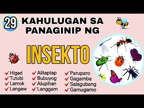 Video: Bakit nangangarap ang mga insekto sa isang panaginip