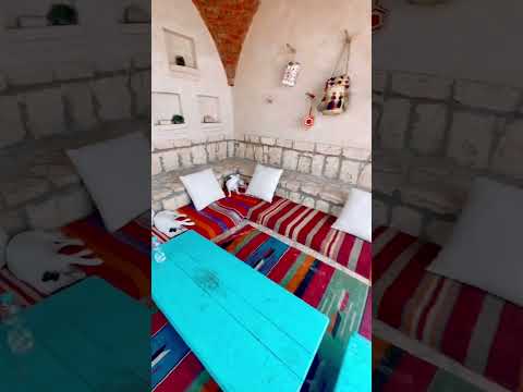 حتي الكلاب في سيوة جميلة