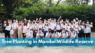 Tree Planting in Mandai Wildlife Reserve  | Daikin Singapore