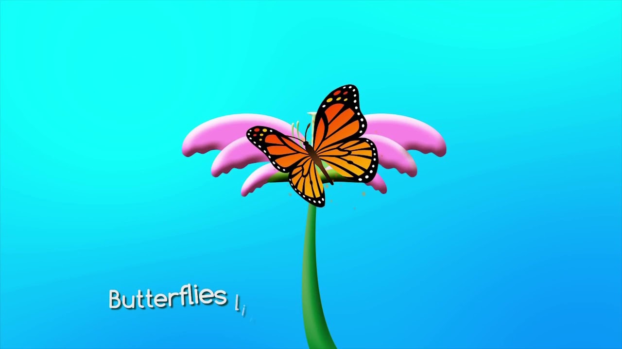 How Do Flowers Grow From Seeds online video cutter com YouTube