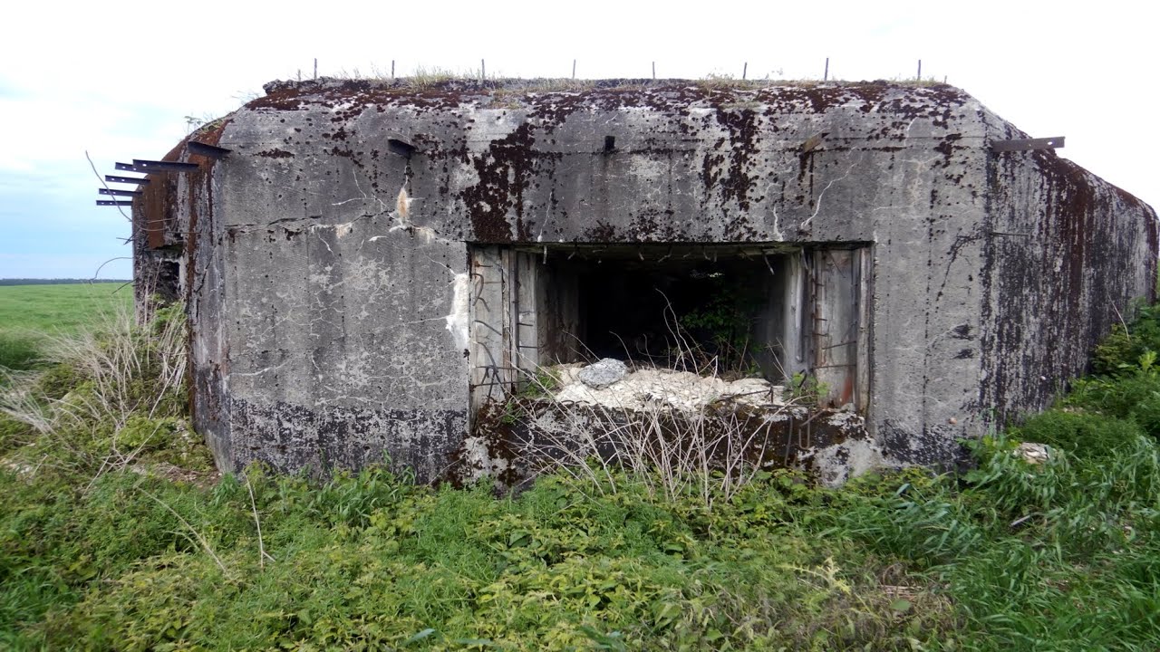 ROZTOCZE atrakcje Lubyczy Królewskiej BUNKRY KNIAZIE CERKWIE SKAMIENIAŁE DREWNO