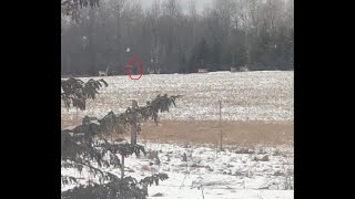 Bigfoot Attempts to Capture Fisherman | Sasquatch on Camera in Minnesota