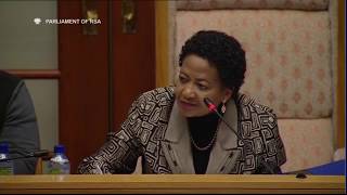 Standing Committee on the Auditor-General [High Level Panel recommendations in relation to the AGSA