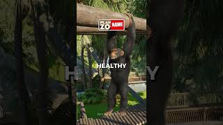 Новая игра с открытым миром для ПК, где вы строите зоопарк и ухаживаете за животными, скоро в Steam