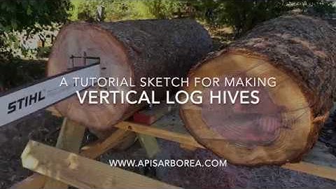 A tutorial sketch for making vertical Log Hives