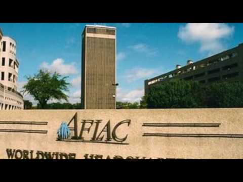 top-insurance---the-top-10-best-auto-insurance-companies