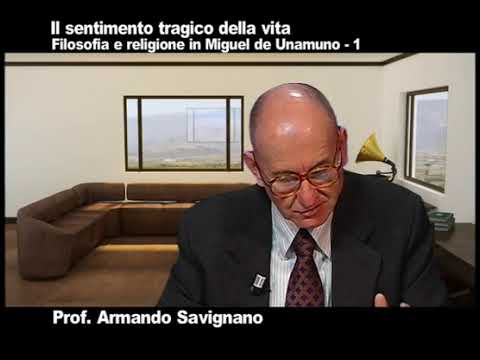 Video: Il sentimento è un processo e uno stato