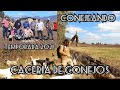 CACERIA de  CONEJOS con PERROS //CONEJIANDO en RENGO //  Rabbit Hunting with Dogs./conejiadas 2021.