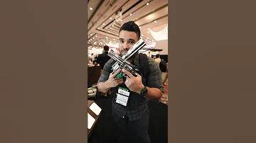 Zombie Apocalypse MUST Have Guns!