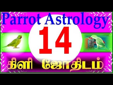 Parrot Astrology 14 கிளி ஜோதிடம் 1 4 - YouTube