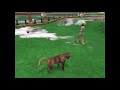 Zoo Tycoon 2 African Adventure Gelada Gameplay Zoo Tycoon 2 African Adventure Gelada Gameplay