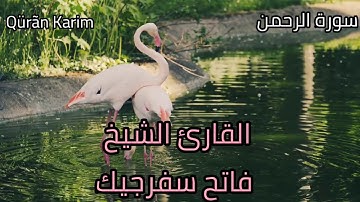 سورة الرحمن للقارئ الشيخ فاتح سفرجيك