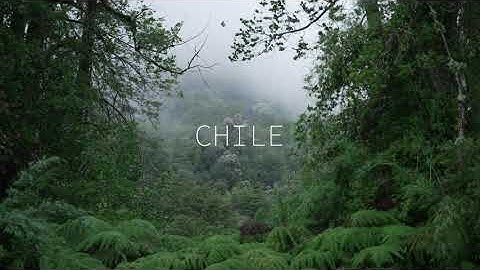 Botanical Illustration Workshop at Fiordo Comau, CHILE